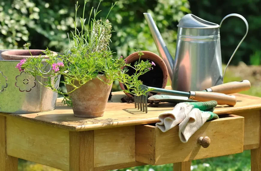 essential-gardening-tools