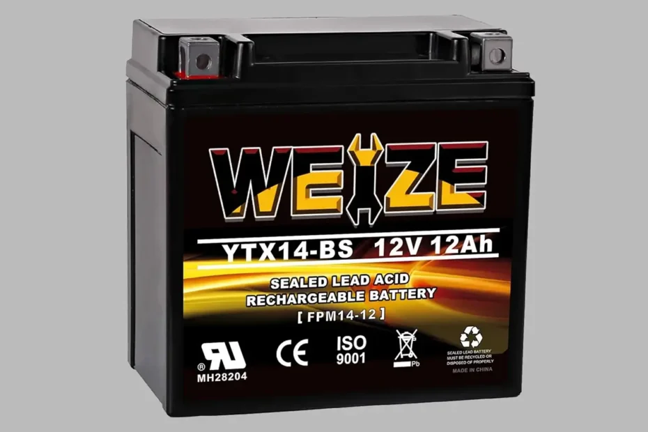 Weize YTX14 BS ATV Battery