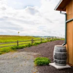 rain-barrel