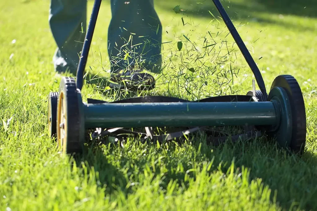 Lawn Mower Maintenance