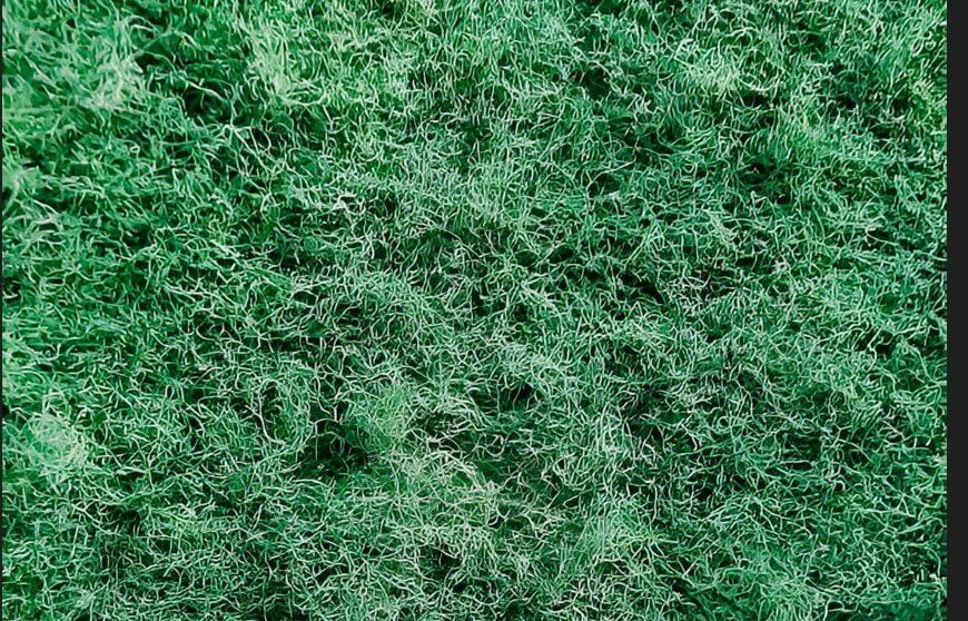 Scotch-Brite Dobie Pads All Purpose Cleaning Review