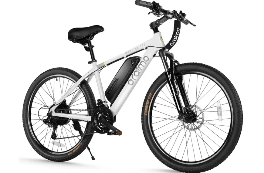 oraimo electric bike