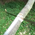 Lynx-Crosscut-saw
