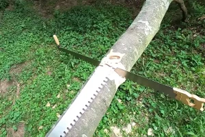Lynx-Crosscut-saw