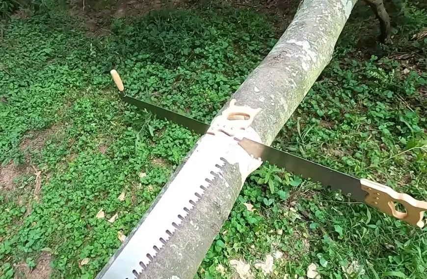 Lynx-Crosscut-saw